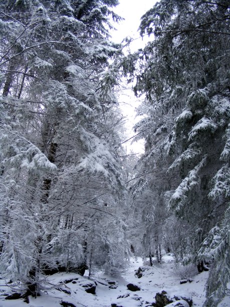 布吉山脉的冬天图片下载