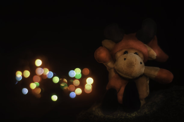 圣诞驯鹿泰迪图片下载