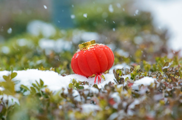 雪里的红灯笼图片下载
