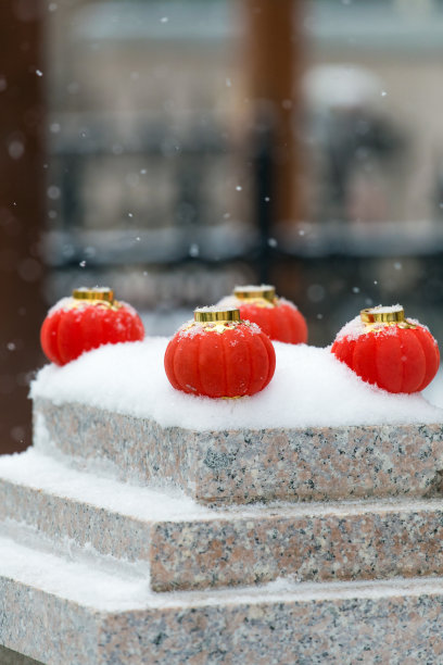 雪里的红灯笼图片下载