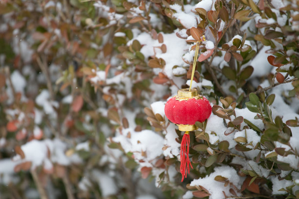 雪里的红灯笼图片下载