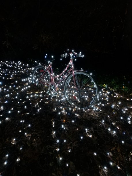 圣诞灯的自行车图片下载