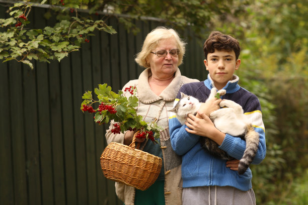 奶奶和孙子用荚木和猫的特写照片图片下载