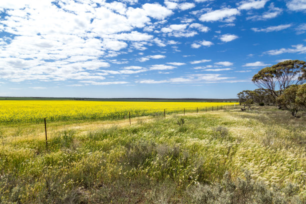 美丽的田野图片下载