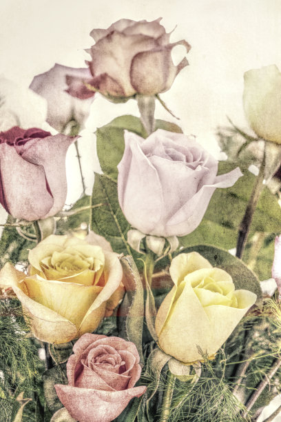 老式的玫瑰花束图片下载