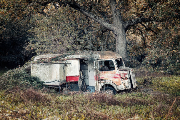 被遗弃在树林里的披萨外卖车图片下载