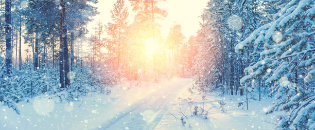 冬天的风景。图片下载