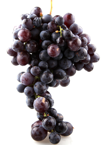新鲜的葡萄图片下载