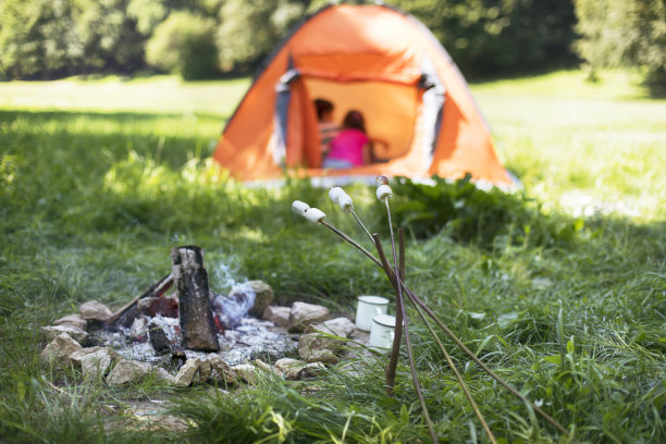 野餐的概念图片下载