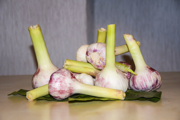 绿叶上长着一串成熟的紫蒜苗图片下载