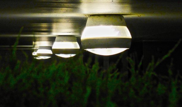 一个夏天的夜晚在一个停车场的灯的特写，与灌木丛的背景图片下载