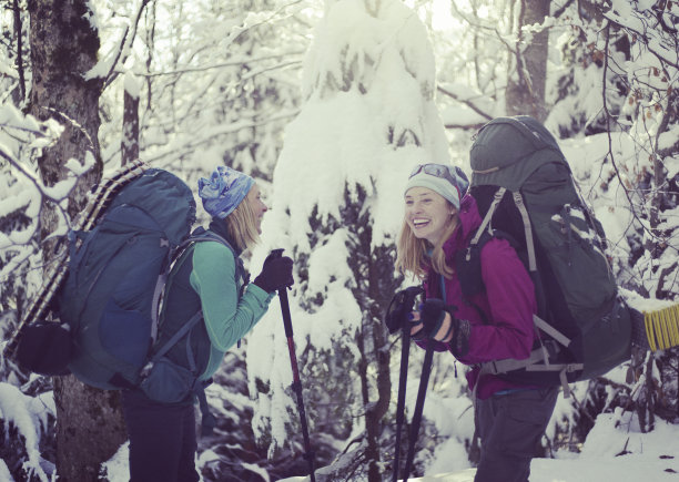 两个女孩在冬天的森林里散步。图片下载