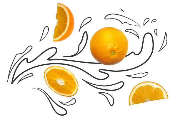 水果组成与新鲜的橘子和卡通可爱的涂鸦画果汁或液体溅在白色的背景。创意简约的食物概念。图片下载