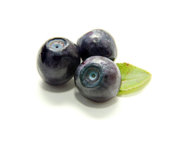 蓝莓图片下载
