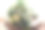 一束白绿相间的新娘花束立在一张轻织物的椅子上图片下载