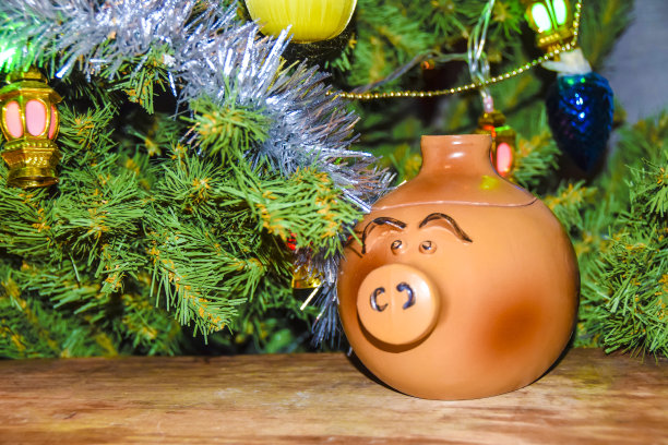 新年贺卡猪年小猪娃娃盆上装饰圣诞树的背景图片下载
