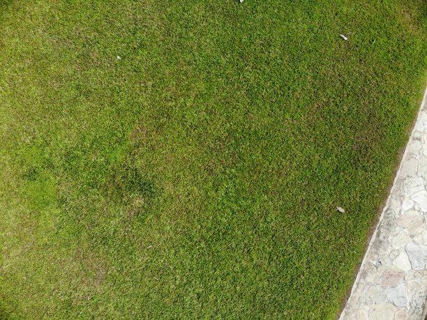 带有部分路径的草地图片下载