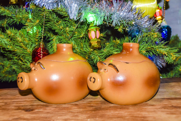 新年贺卡猪年小猪娃娃盆上装饰圣诞树的背景图片下载