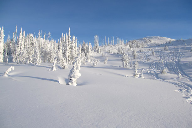 布格布省公园，不列颠哥伦比亚省珀塞尔山脉的Bugaboos山，被雪覆盖的树木图片下载