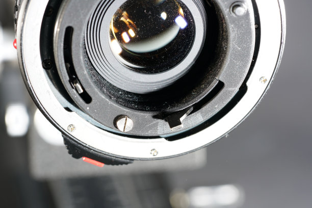 微距摄影和显微摄影图片下载