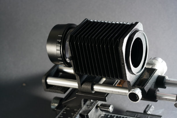 微距摄影和显微摄影图片下载