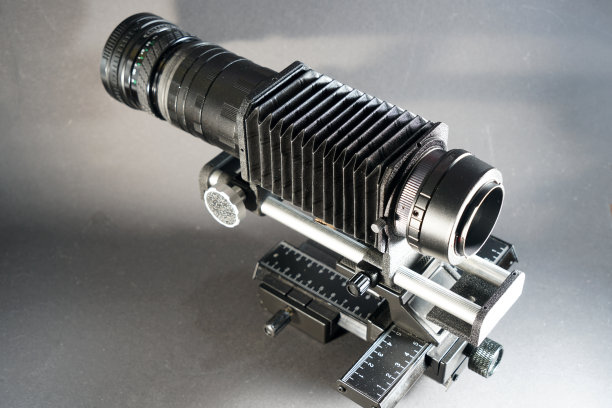 微距摄影和显微摄影图片下载