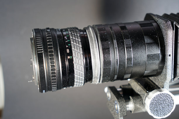 微距摄影和显微摄影图片下载