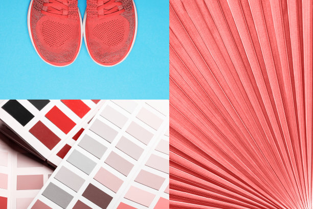 创造性的拼贴在活珊瑚的颜色。2019年新潮流色。图片下载