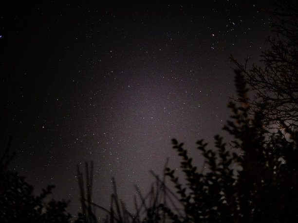 冬夜明星图片下载