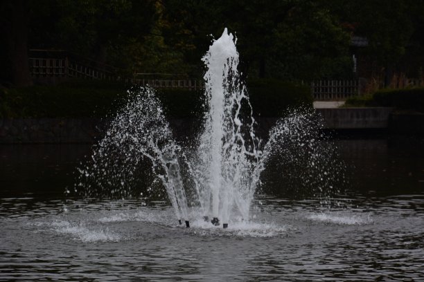 公园里的喷泉图片下载