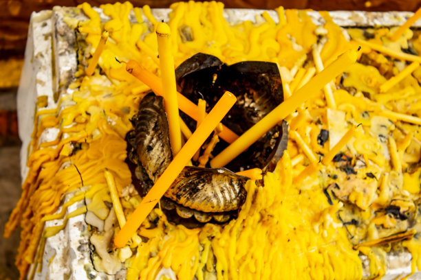 绿色的蜡烛在中间黄色的蜡烛。图片下载