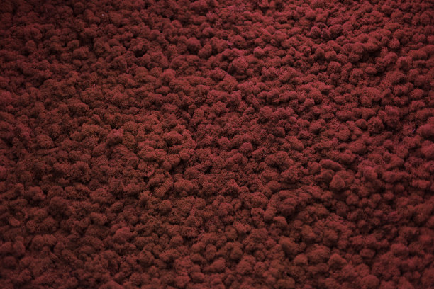 墙内天然苔藓质地图片下载