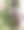 美丽的图片，鸟孵化你的蛋在盆栽花园植物图片下载