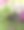 美丽的图片，鸟孵化你的蛋在盆栽花园植物图片下载