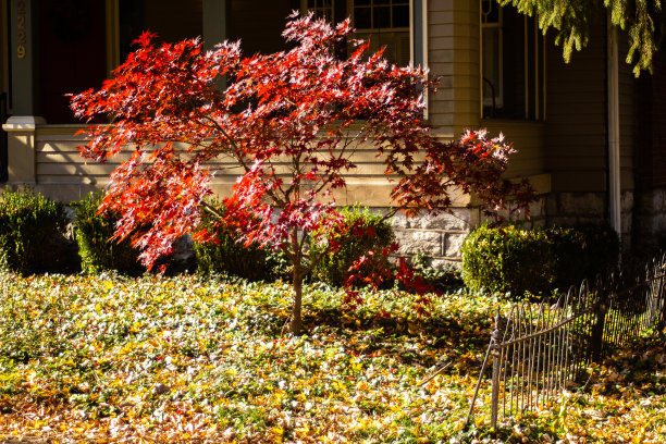 秋季自然景观2图片下载