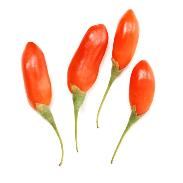 白底枸杞(枸杞)图片下载