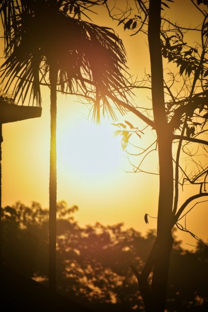 清晨的太阳图片下载