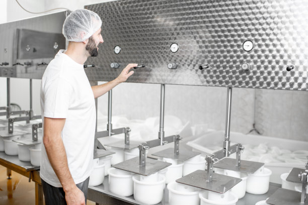 奶酪制造厂的工人图片下载