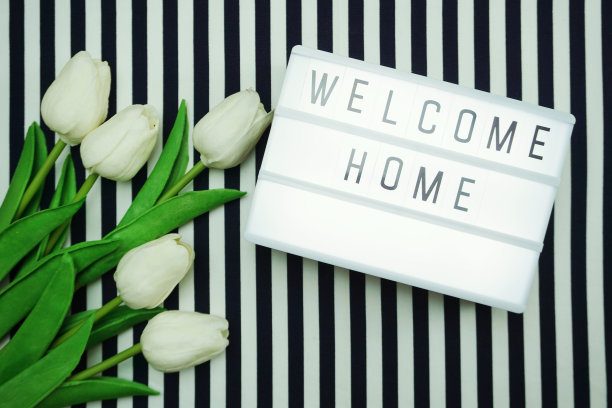 欢迎回家灯箱信件俯视图平铺与郁金香花束图片下载