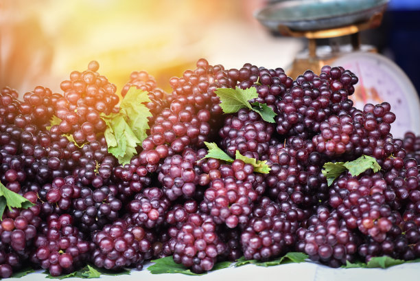 新鲜的红葡萄/成堆的成熟的红葡萄串和叶子在市场上图片下载