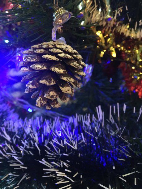 圣诞快乐图片下载