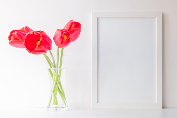 模型与白色框架图片下载