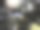 阴暗的松树图片下载