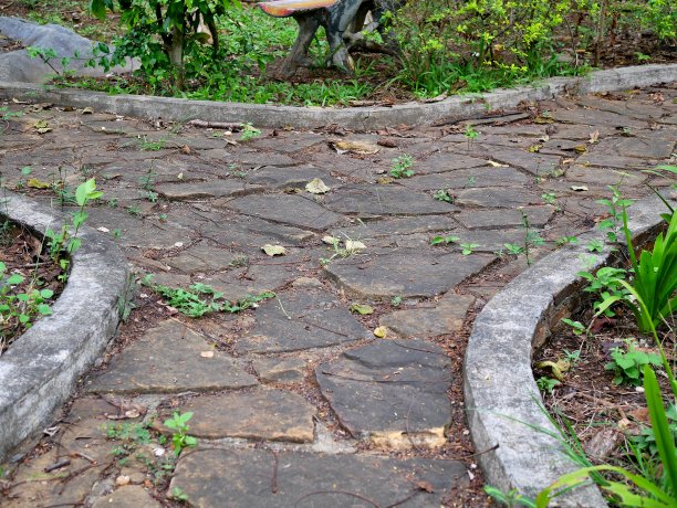 花园里的石灰石瓷砖人行道图片下载