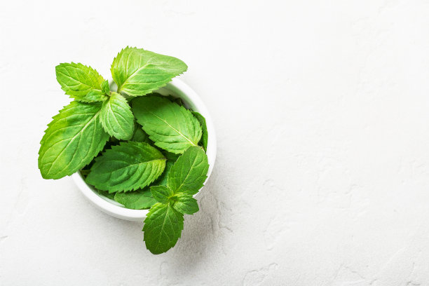 薄荷叶在碗里。平躺图片下载