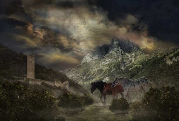 如此靠近天国图片下载