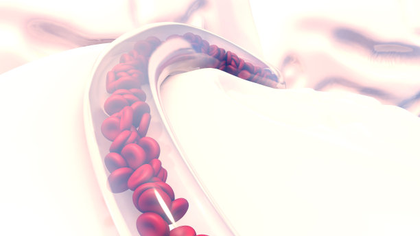 血管中的血细胞图片下载