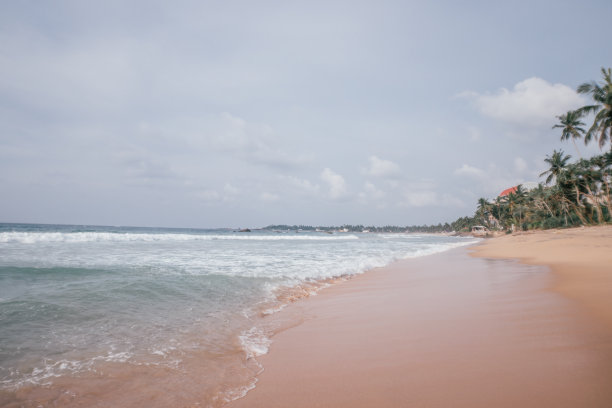 美丽的海滩和热带风情图片下载