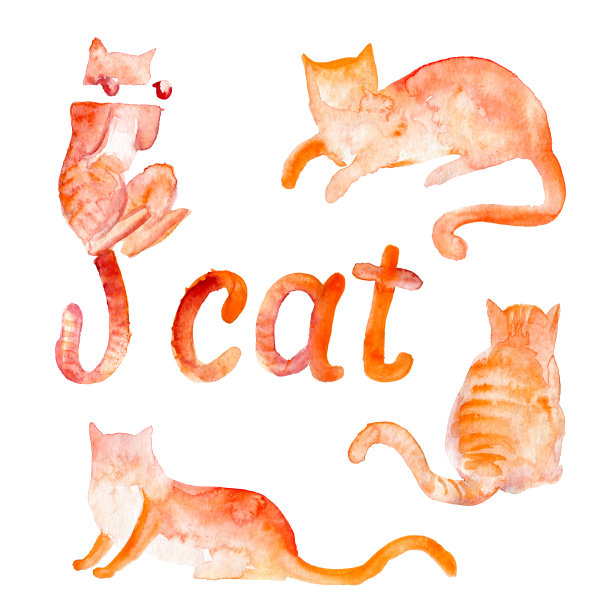 水彩画一套红色的猫。一只红猫的素描。图片下载