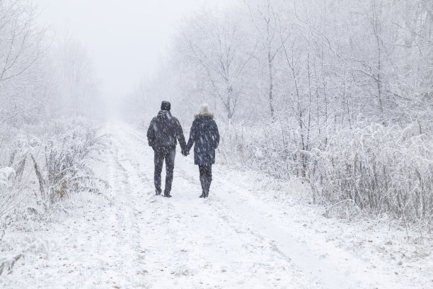 一对年轻的夫妇手牵着手走在暴风雪中。宁静的气氛在令人惊叹的冬日。在雪林小径享受新鲜空气。后视图。图片下载